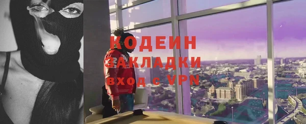 трава Няндома