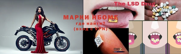 трава Няндома