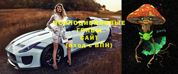 спиды Нягань
