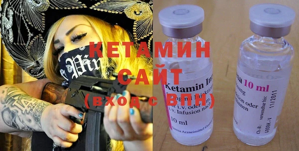 трава Няндома