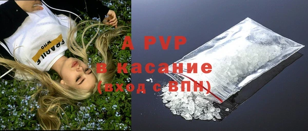 трава Няндома