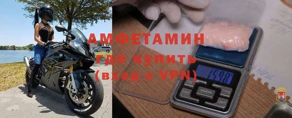 трава Няндома