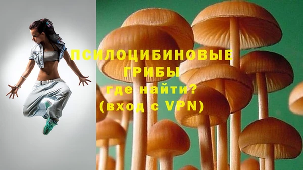 спиды Нягань