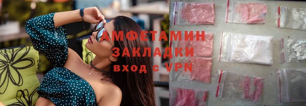 трава Няндома
