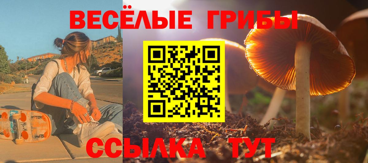 Галлюциногенные грибы прущие грибы  Галлюциногенные грибы мухоморы  Карталы  Вход с VPN 
